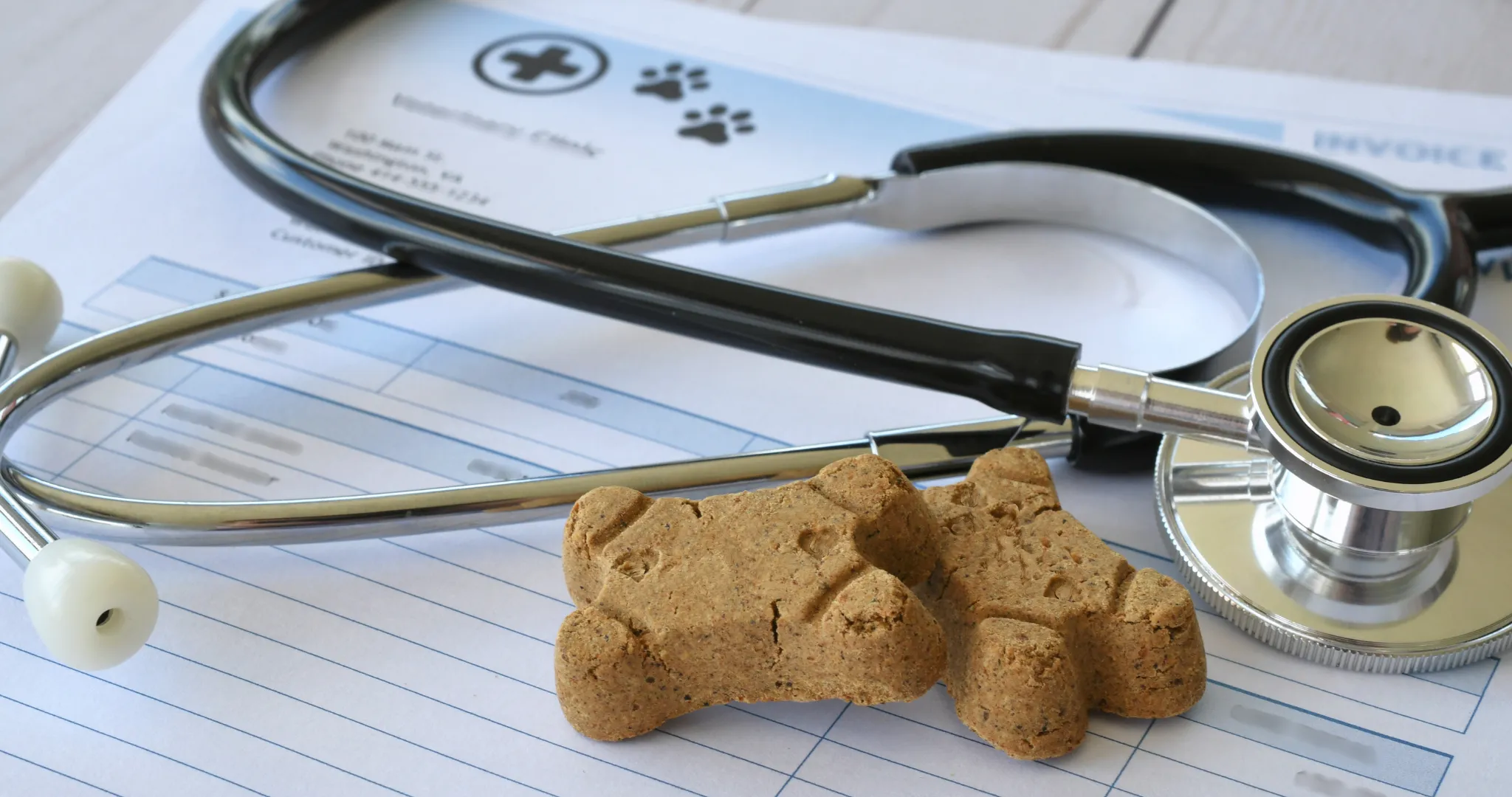 Salud bucodental en gatos: guía veterinaria esencial para dueños